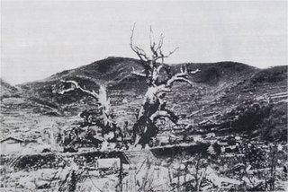 kusunoki_1945.jpg